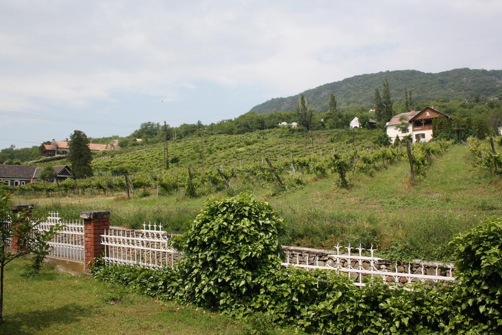 Bacchus Apartman - Borbarlang, Badacsony Badacsonytomaj Exterior foto
