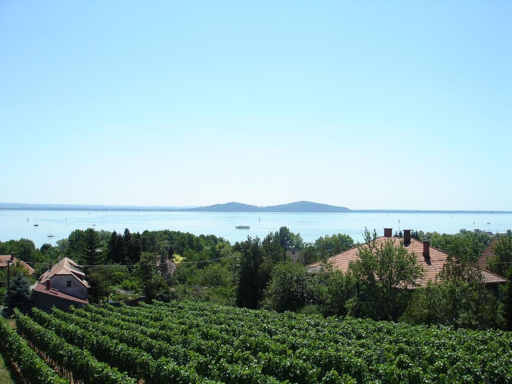 Bacchus Apartman - Borbarlang, Badacsony Badacsonytomaj Quarto foto